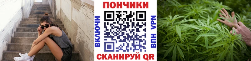 Шишки марихуана Bruce Banner  Хасавюрт 